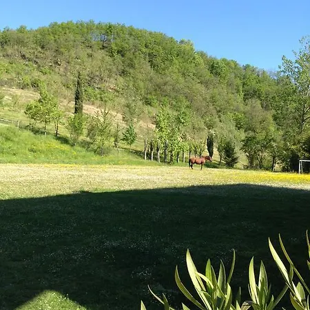 La Campagnola